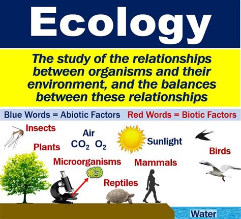 Environmental Concerns: Exploring the Ecological Symbolism of Synthetic Carriers