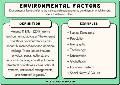 Environmental Factors and Implications