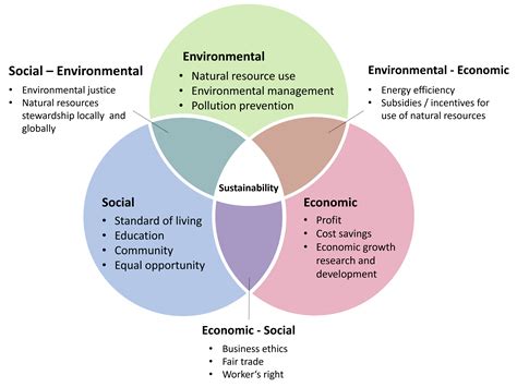 Environmental Impact: Striking a Balance between the Vision and Sustainability