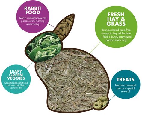 Essential Components of a Rabbit's Diet