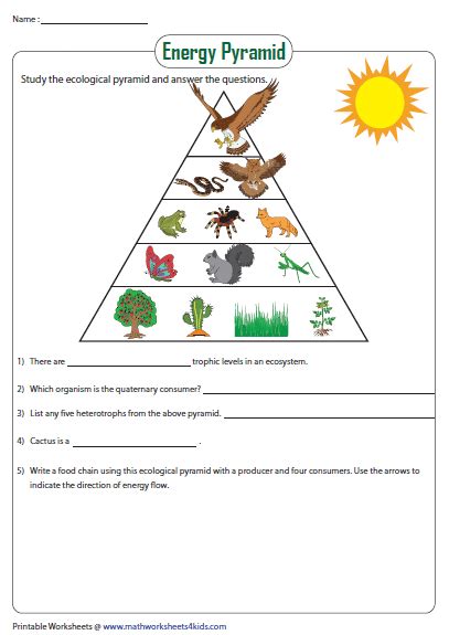 Evaluating Energy Levels and Activity Needs