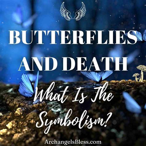 Examining the Cultural Symbolism of Butterflies and Death