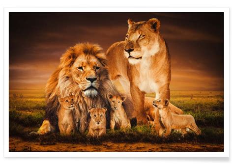 Examining the Significance of Lion Family Dreams in Relation to Interpersonal Connections and Family Dynamics