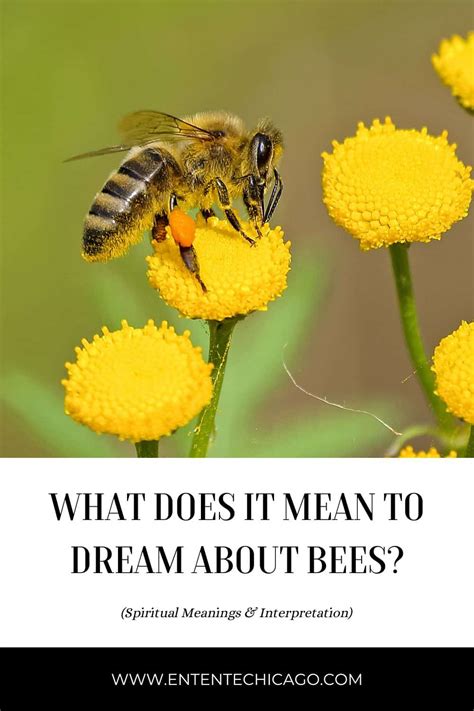 Examining the Symbolism of Bees in Dreams