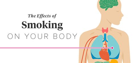 Examining the physiological impact of smoking in imagined scenarios