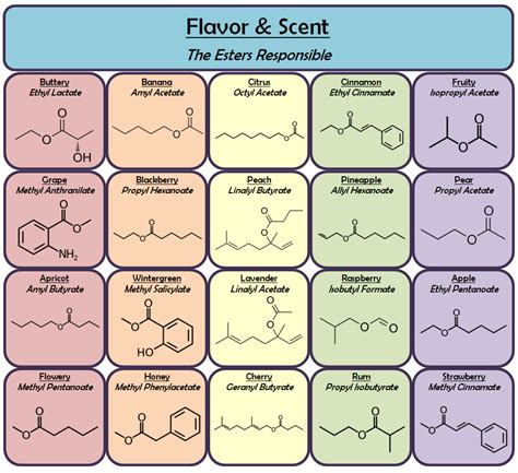 Explore the Chemical Compounds Responsible