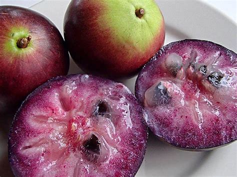 Explore the Delectable Tastes of Unknown Fruits From Across the Globe