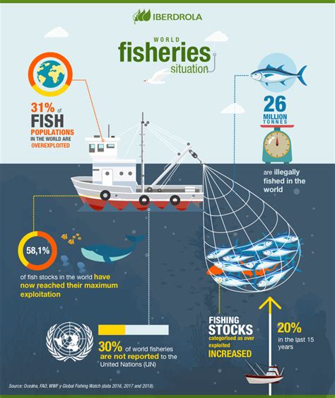 Explore the World of Sustainable Fishing: Choosing Ethically Sourced Fish