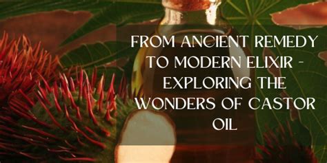 Exploring Ancient Cultures and Their Elixir-Like Brews from the Wonders of Human Tresses