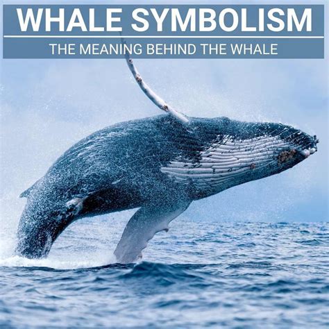 Exploring Cultural Perspectives: Interpreting Whaling Dreams from Different Societies