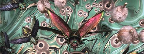 Exploring Cultural and Historical Perspectives on Deceased Insects Encountered in Dreams