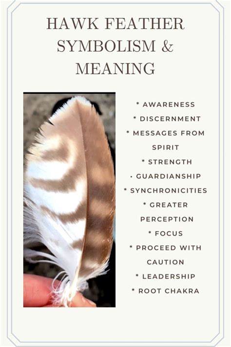 Exploring Cultural and Historical Perspectives on Feather Symbolism