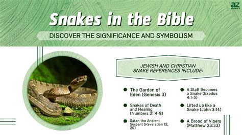 Exploring Cultural and Mythological References Linked to the Symbolic Significance of Amphibious Creatures and Serpents