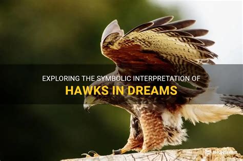 Exploring Different Meanings of Experiencing Hawk Assaults in Dreams