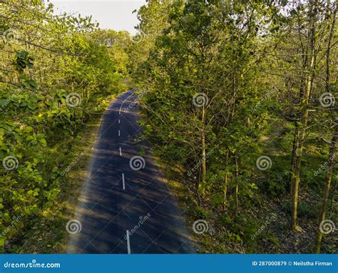 Exploring Different Perspectives on Dreaming of Arid Foliage