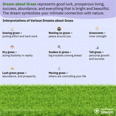 Exploring Different Varieties of Dreams Related to Grass Water and Their Interpretations