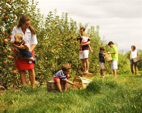 Exploring Other Agritourism Activities: Beyond the Labyrinth of Maize