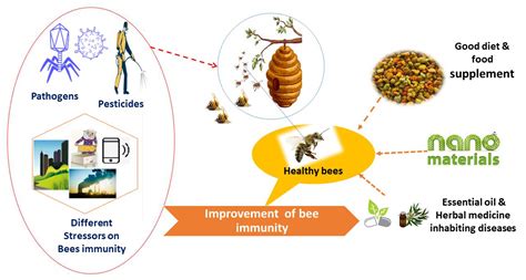 Exploring Potential Links Between Bees and Anxiety in Dreamscapes