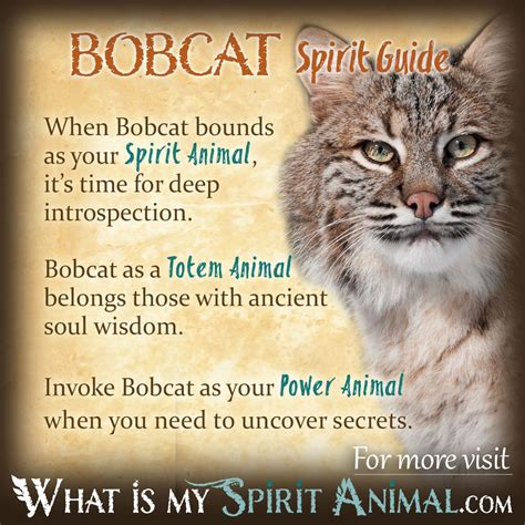 Exploring Symbolic Significance of Bobcat Encounters in Native American Spirituality