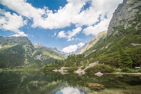 Exploring Tranquil Rivers: A Journey into Nature's Peace