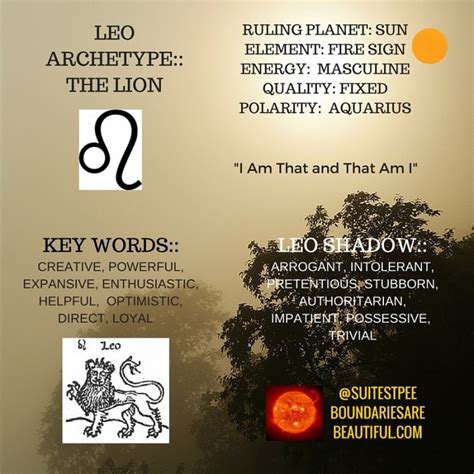 Exploring the Bear and Lion Archetypes