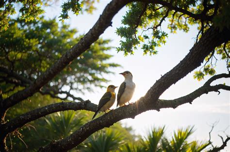 Exploring the Connection Between Birds and Dreams