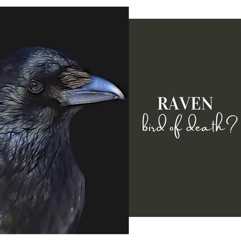 Exploring the Connection Between Ravens and Mortality in Dreams