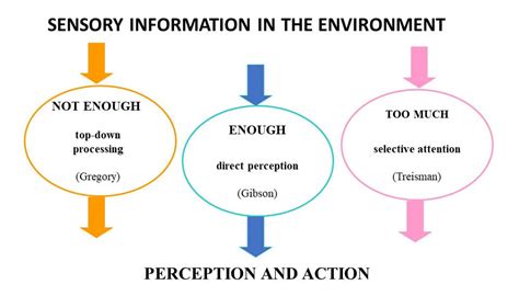 Exploring the Connection Between Vision and Perception