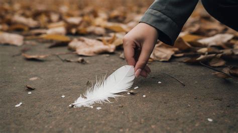 Exploring the Connection Between White Feathers and Angelic Presence