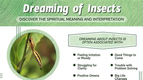 Exploring the Cultural Importance of Bug and Insect Dreams