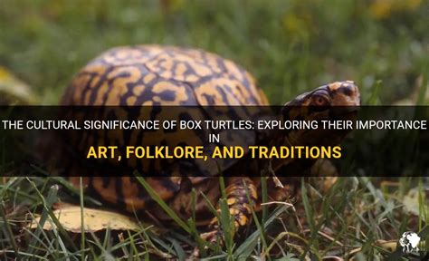 Exploring the Cultural Perspectives on Turtles