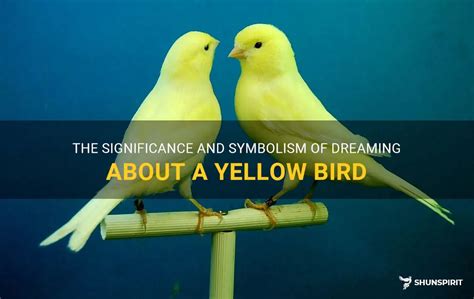 Exploring the Cultural Significance of Birds in Dream Imagery