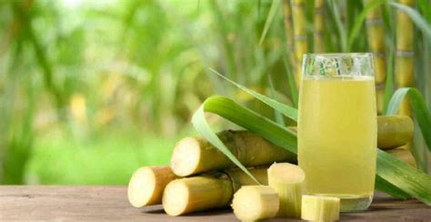 Exploring the Cultural Significance of Sugarcane Juice