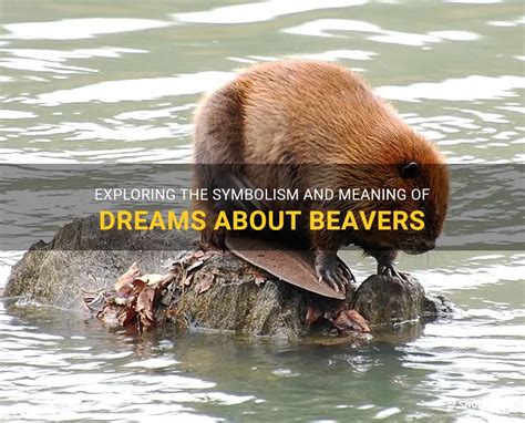 Exploring the Deep Meaning of a Tiny Beaver in Dreams