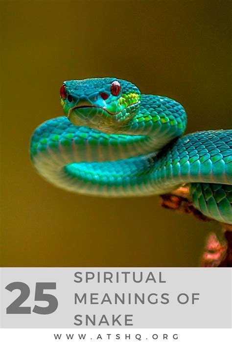 Exploring the Deeper Meaning of Your Vision on the Serpent's Head for Personal Growth and Soul Searching