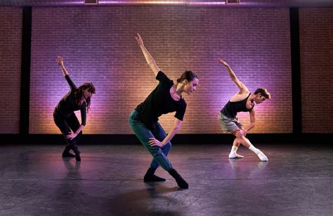 Exploring the Diversity of Dance Styles