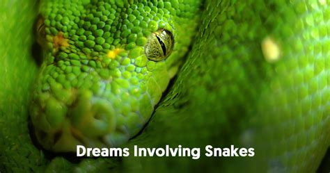 Exploring the Emotional Impact of Dreams Involving Snake Handling