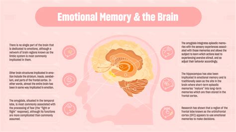 Exploring the Emotional Impact of Vivid Memories