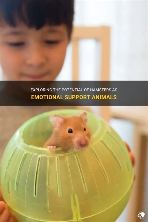 Exploring the Emotional Response of Hamsters to Dreams of Woundedness