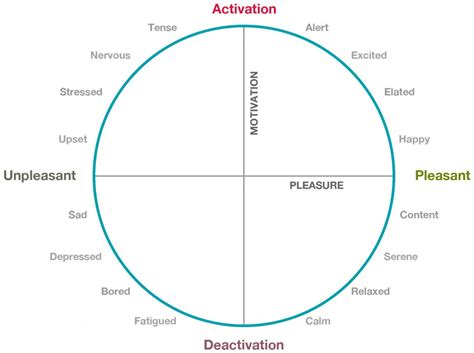 Exploring the Emotional Responses and Reactions in the Dream