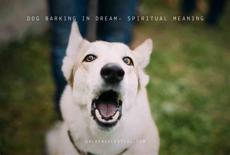 Exploring the Emotional Significance of Dreaming about a Barking Canine Companion