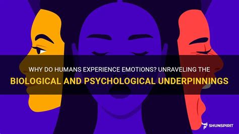 Exploring the Emotional Underpinnings of Your Subconscious Experience