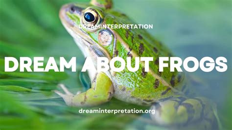 Exploring the Emotional and Psychological Significance of Frog-Related Dreams