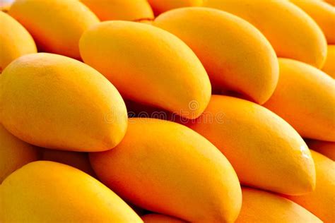 Exploring the Exotic Flavor of Fresh Mango