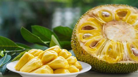 Exploring the Exotic Origins of the Delectable Jackfruit