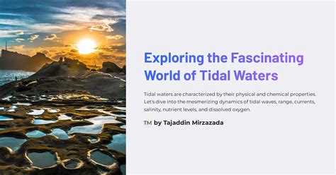 Exploring the Fascinating Variety of Tidal Patterns across the Globe