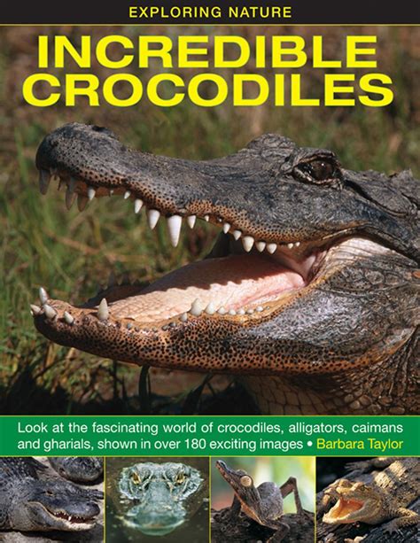 Exploring the Fascinating World of Alligators