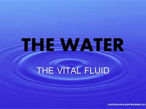 Exploring the Figurative Importance of Vital Fluid