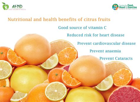 Exploring the Health Benefits of Citrus Fruits