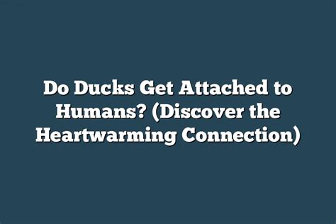 Exploring the Heartwarming Connection With Ducklings